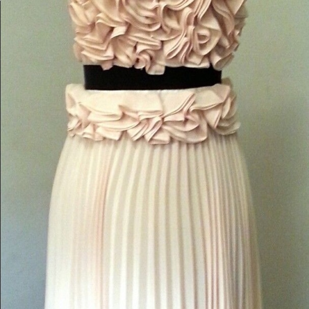 BCBG Max Azria Safina dress, size 0, worn once - Picture 5 of 7